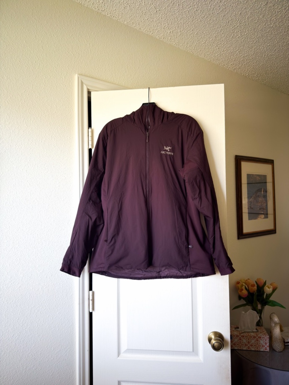 Arc’teryx Atom LT Hoody Jacket Insulated Phantasm Brown XL EUC - Picture 2 of 11